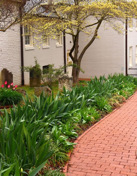 Brick Flatwork Repair in Kirkland